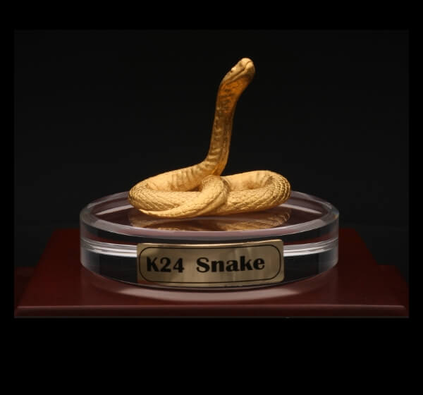 K24 Snake